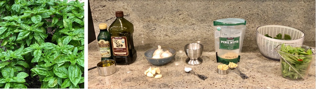 Immagine che contiene erba, terreno, bottiglia, pianta
Il contenuto generato dall'IA potrebbe non essere corretto.