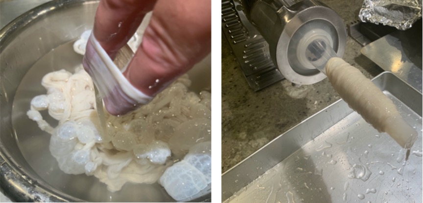 A picture containing food processor
Description automatically generated